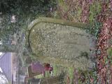image of grave number 795359